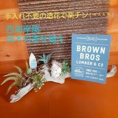 西海岸風流木の置物　プレゼント　贈答用にも