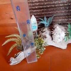 西海岸風流木の置物　プレゼント　贈答用にもの画像