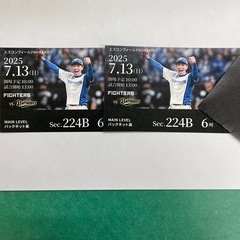 ファイターズペアチケット7/13(日)