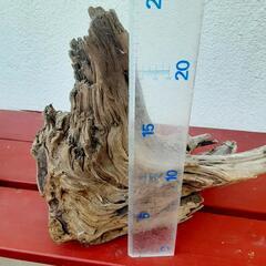 西海岸風流木の置物　プレゼント　贈答用にもの画像