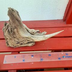 西海岸風流木の置物　プレゼント　贈答用にもの画像