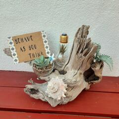 西海岸風流木の置物　プレゼント　贈答用にもの画像