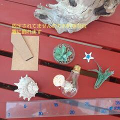 西海岸風流木の置物　プレゼント　贈答用にもの画像