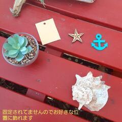 西海岸風流木の置物　プレゼント　贈答用にの画像