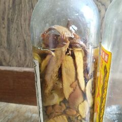 ハブ酒とスッポンの睾丸酒の画像