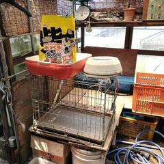 柴犬　ペット用品まとめての画像
