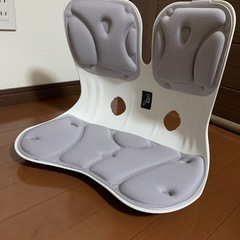 姿勢矯正椅子　座椅子　カバーが洗えます！ゲームや読書　ペットのグ...