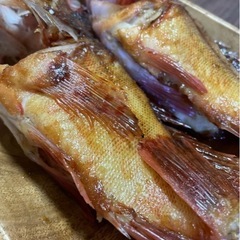 【必見🎣】福岡の釣り仲間！グループラインのメンバー募集！