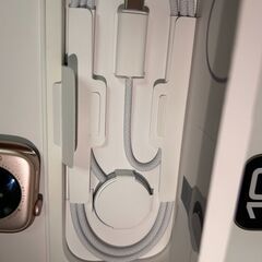 Apple Watch Series 10 42mm ローズゴールド セルラーモデル 本体の画像