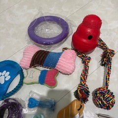 ワンチャンお迎えセット　爪切り　ブラシ　リード　犬ちゃんおもちゃ玩具PULLERの画像