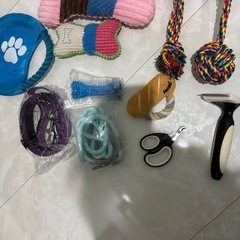 ワンチャンお迎えセット　爪切り　ブラシ　リード　犬ちゃんおもちゃ玩具PULLERの画像