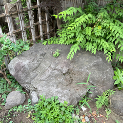 庭石