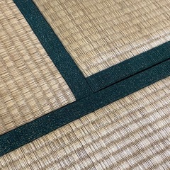 畳12畳無料　28.9✖️56.6