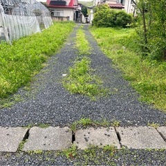 販売中物件の敷地内の草取り(写真撮影必須)