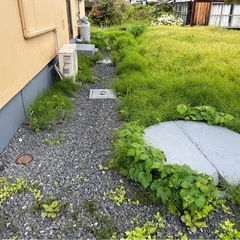 販売中物件の敷地内の草取り(写真撮影必須)の画像