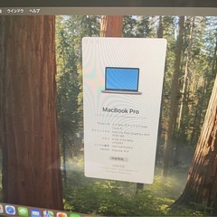 MacBook Pro (13-inch, 2018, Four Thunderbolt 3 ports)の画像