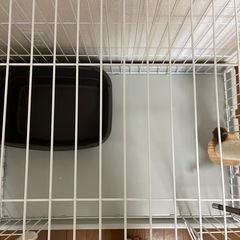 【お譲り先決定】
ペット用ゲージの画像