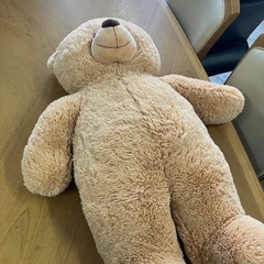 ロ2507-021  テディベア ぬいぐるみ 中古美品 現状お渡し
