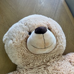 ロ2507-021  テディベア ぬいぐるみ 中古美品 現状お渡しの画像