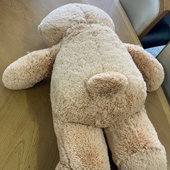 ロ2507-021  テディベア ぬいぐるみ 中古美品 現状お渡しの画像