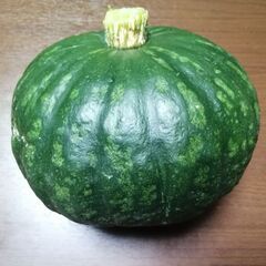 とれたて　栗かぼちゃ約2キロ