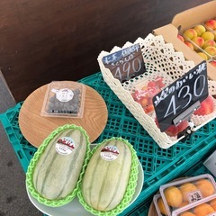 むかわ町あじうりともりん2玉まとめ価格☆の画像