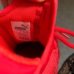 【本日のみ】美品Pumaのスニーカーの画像