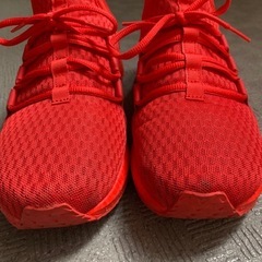 【本日のみ】美品Pumaのスニーカーの画像