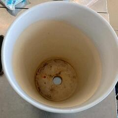 0701-048 植木鉢の画像