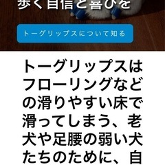 犬用Toegripsの画像