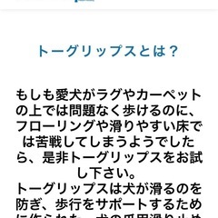 犬用Toegripsの画像