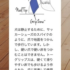 犬用Toegripsの画像
