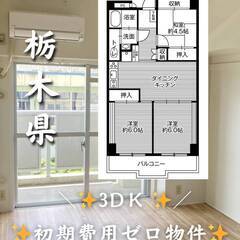 栃木県栃木市　初期費用ゼロ　家賃44000円　生活保護可