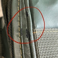 中古品 Rug2 カメラバックの画像