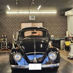 ７３年登録ｔｙｐｅ１