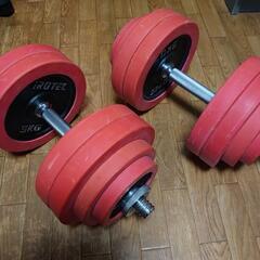 IRONTECダンベル30kg×2の画像
