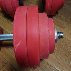 IRONTECダンベル30kg×2の画像