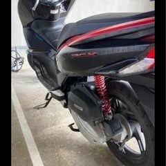 PCX JF56の画像