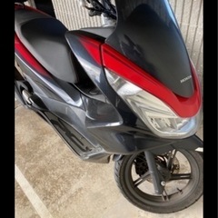 PCX JF56の画像