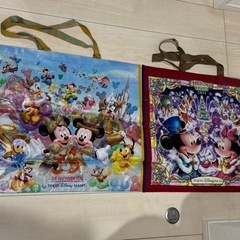 ⭐︎希少品　東京ディズニーリゾート 大サイズショッピングバッグ 2点セットの画像
