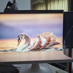 【ジャンク品】EPSONモニターの画像