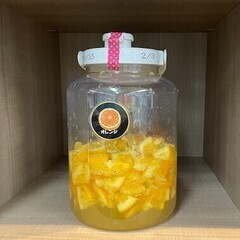 🥝ミネラル醗酵ドリンク教室🍎の画像