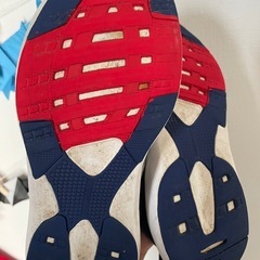 adidas 21.5 スニーカーの画像