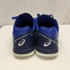 ■25*50197■asics DS LIGHT 2 TF SL/ST666-400/アシックス 26.0cm サッカー フットサルシューズ トレシュー トレーニングシューズの画像