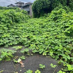🌈売り土地　三養基郡みやき町大字白壁🌈K - 三養基郡