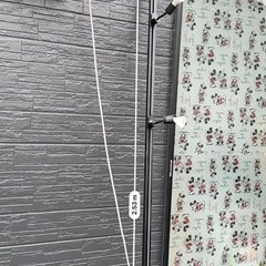 天井に設置する電気🩶の画像