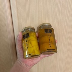 銀座千疋屋 フルーツコンポート マンゴーとみかん