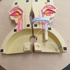 メディトレくんIIの画像