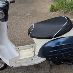 スズキ　ヴェルデ　verde 50cc 原付の画像