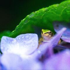 一緒に写真撮りに行きましょう